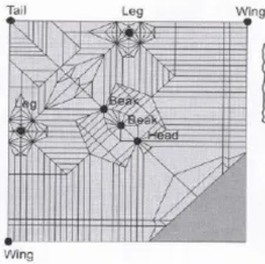 Eagle Crease Pattern